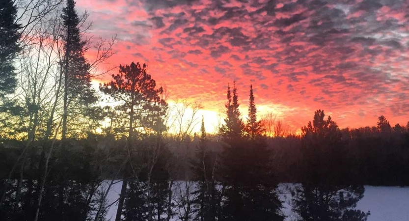 The sky appears in shades of yellow and pink as the sun either rises or sets behind a line of trees 